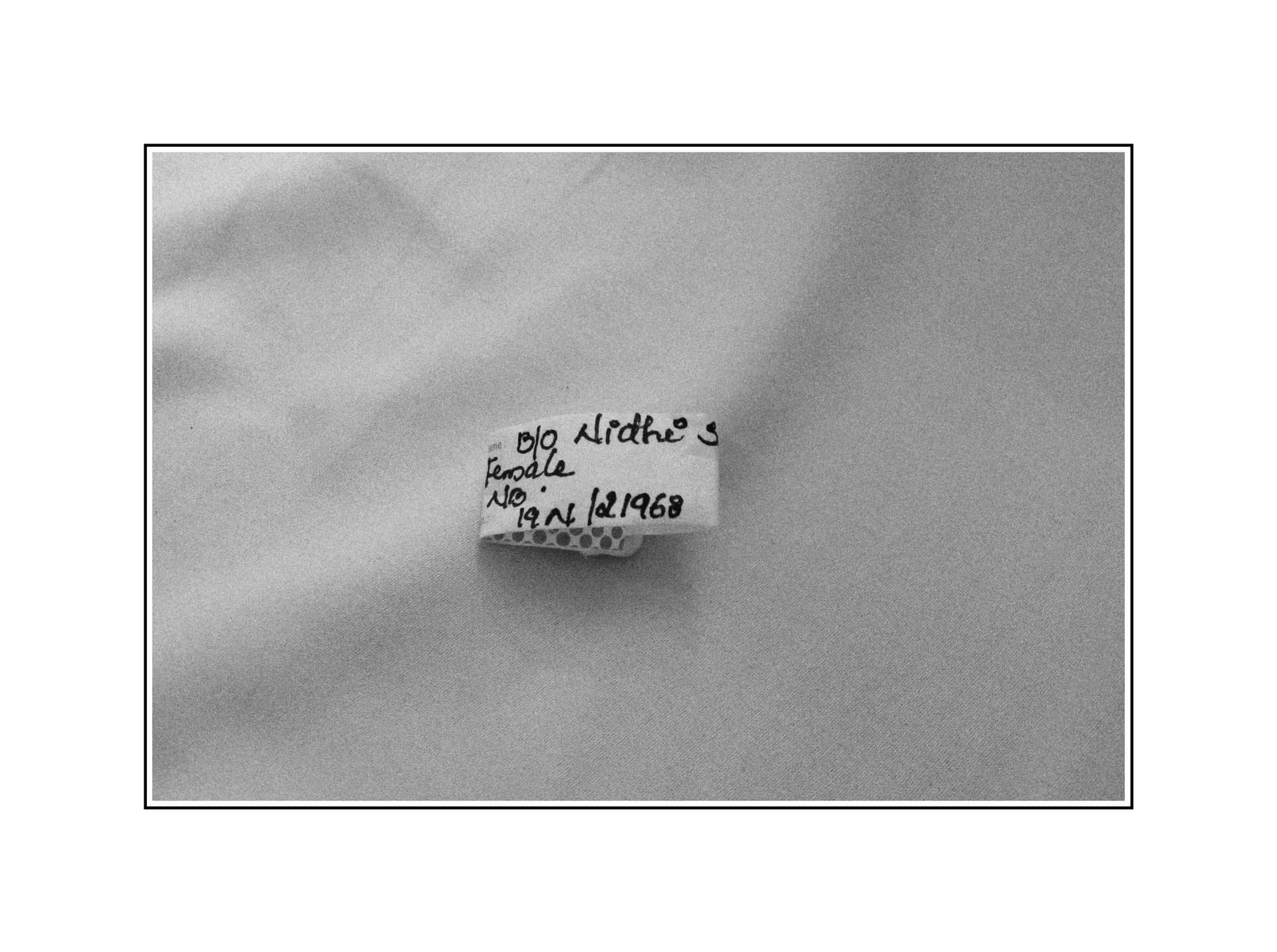 Little Life documentary photography